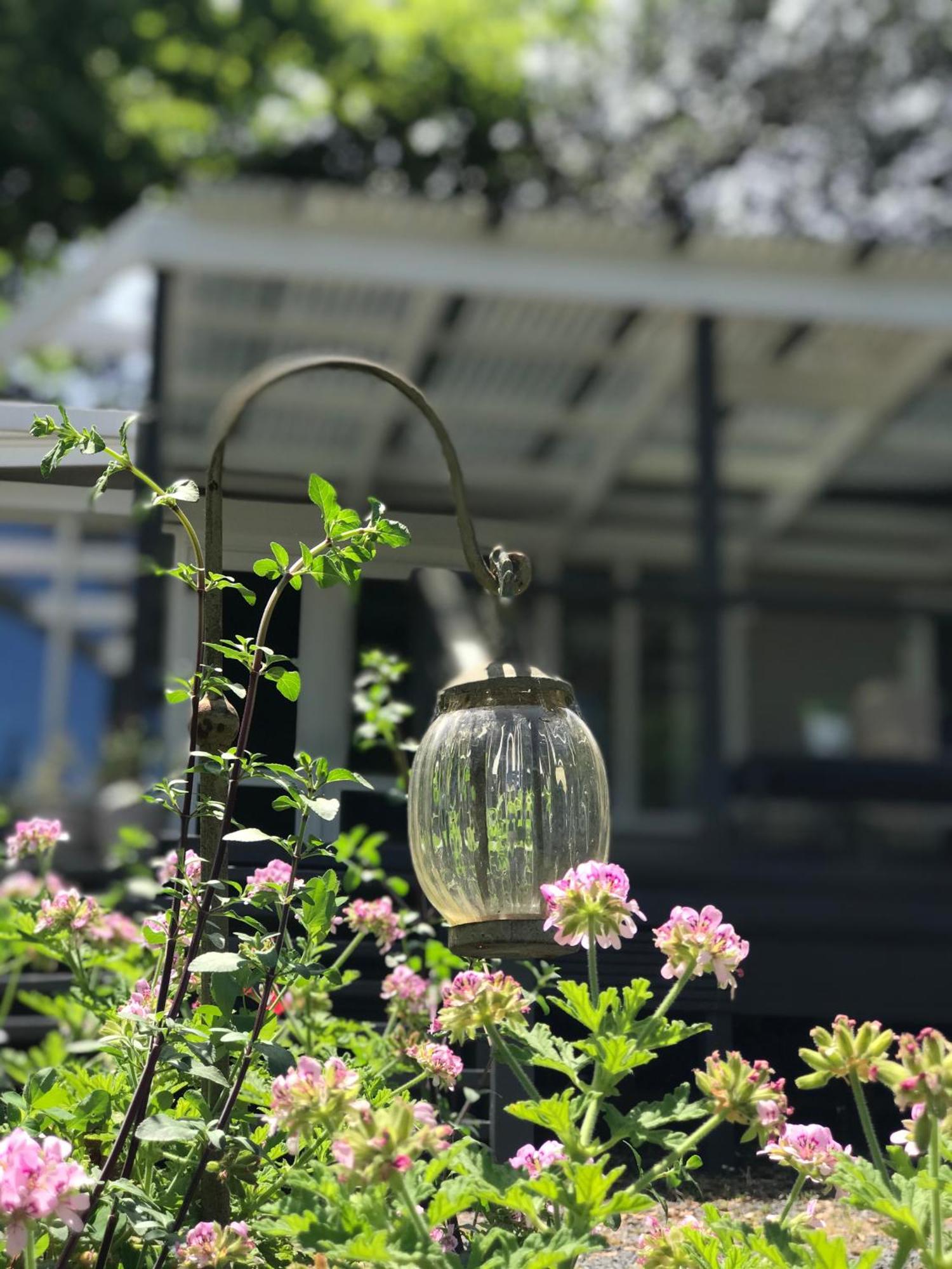 Nagoondie Studio Healesville Εξωτερικό φωτογραφία