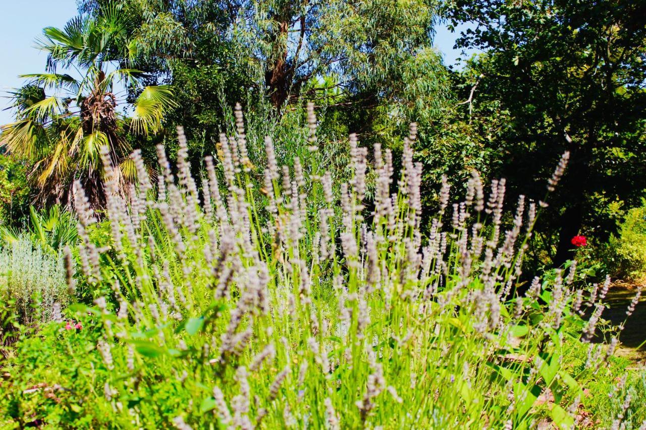 Nagoondie Studio Healesville Εξωτερικό φωτογραφία