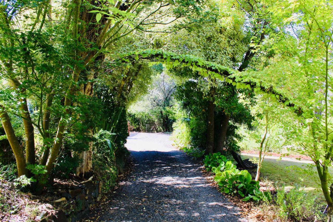 Nagoondie Studio Healesville Εξωτερικό φωτογραφία